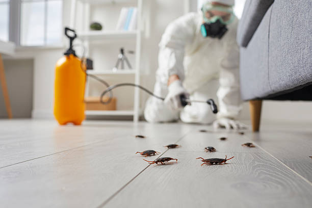 Post-Treatment Bed Bug Interceptor Monitoring in Neillsville