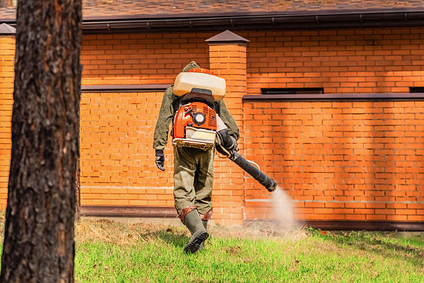 Bed Bug Clearance Verification and Documentation in Neillsville
